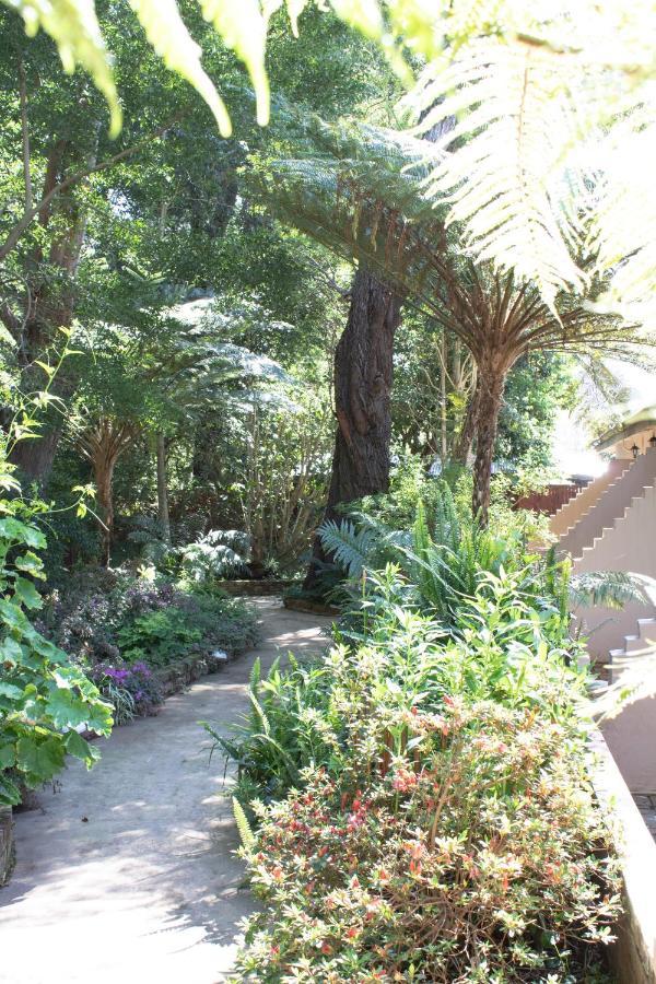 Twin Room with Garden View