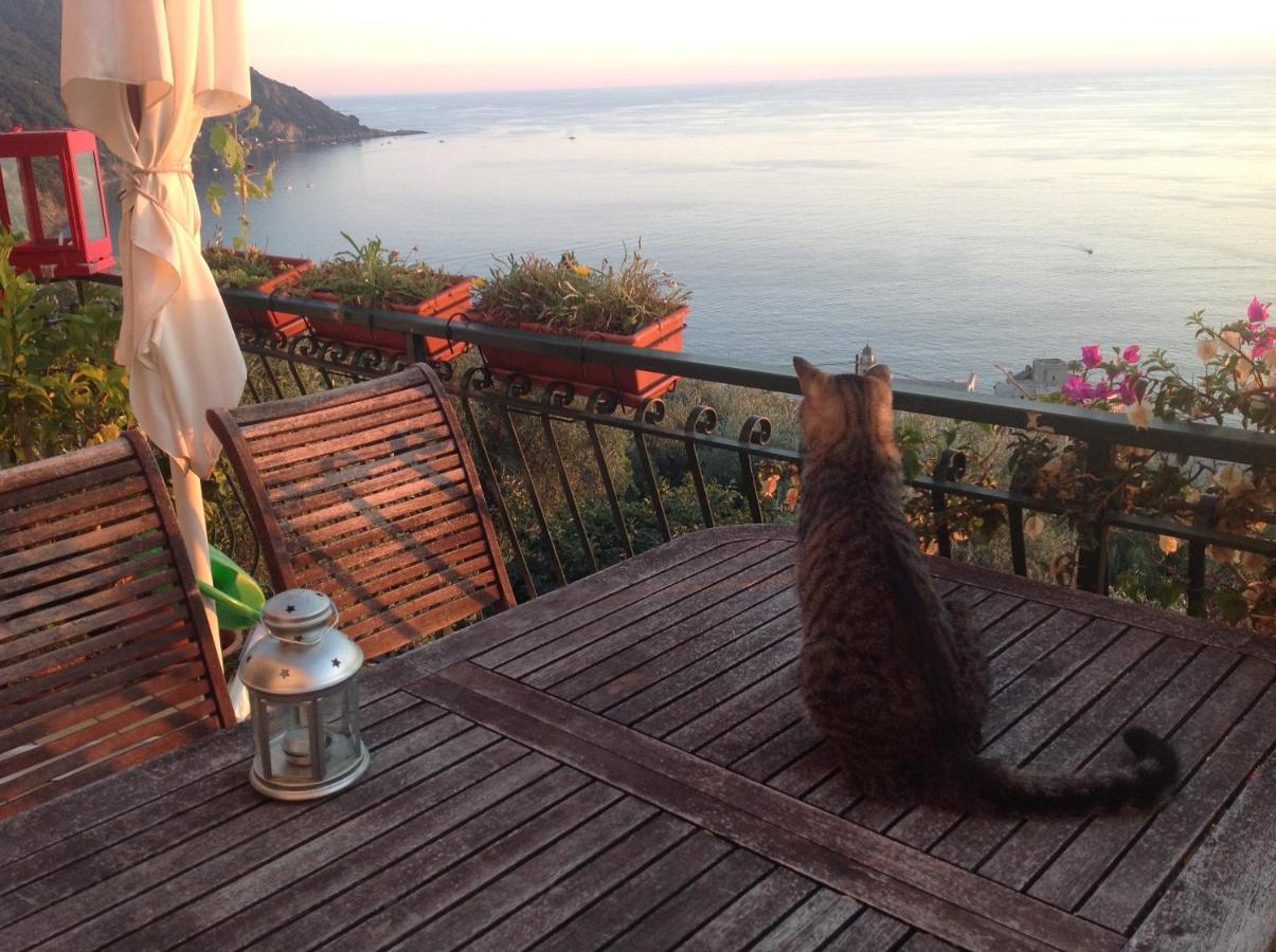 Suite con vistas al mar