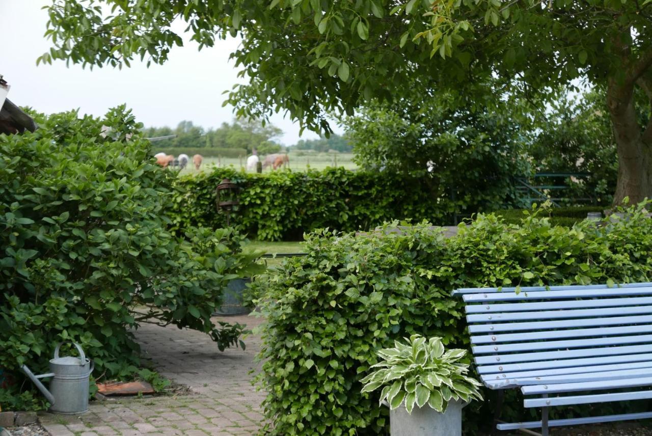 Studio met Terras