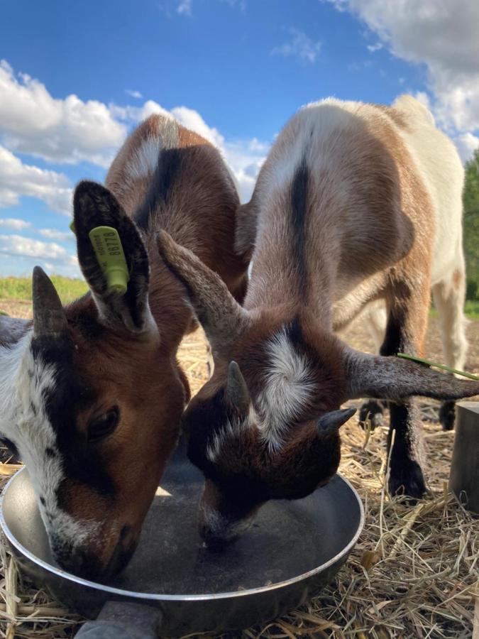 Quadruple Room with Private Bathroom,1037047582:JPEG