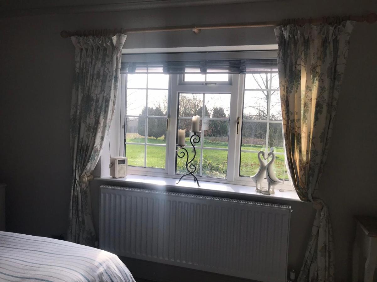 Standard King Room,1043568055:JPEG