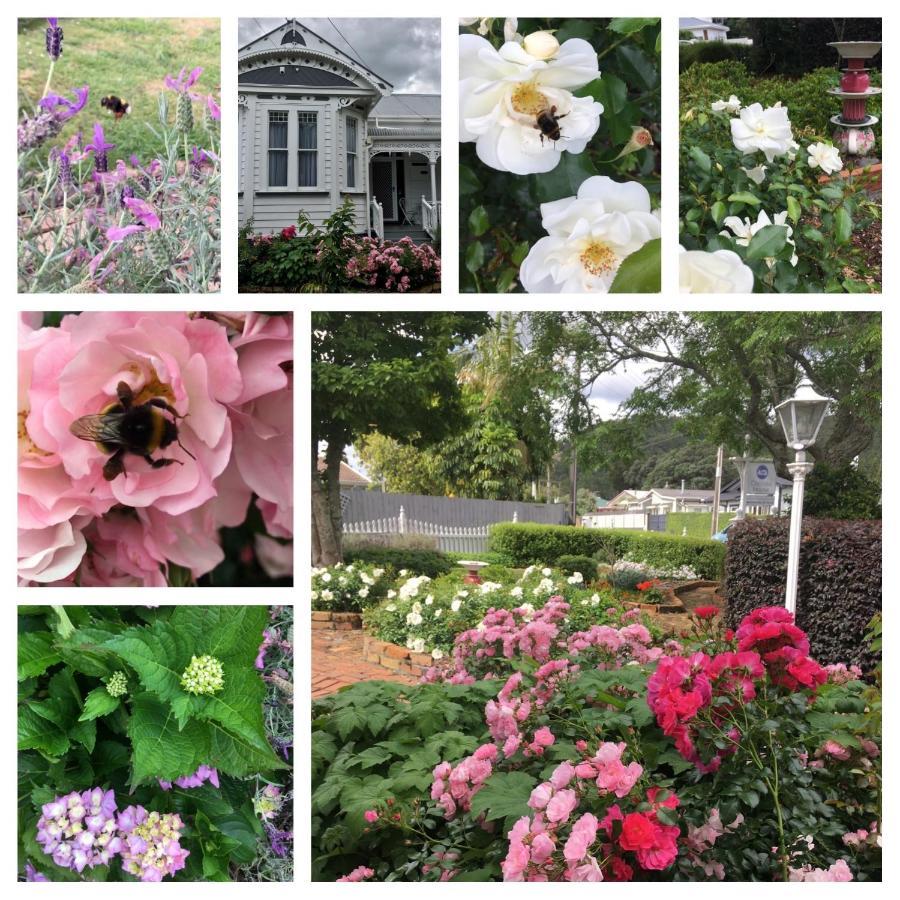 Parihaka King Room,1146759697:JPEG