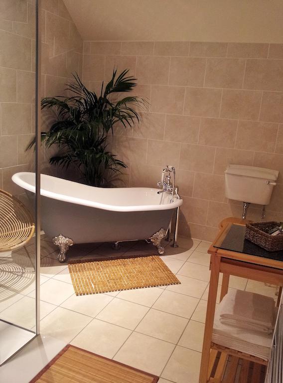 Superior King Suite,682869417:JPEG