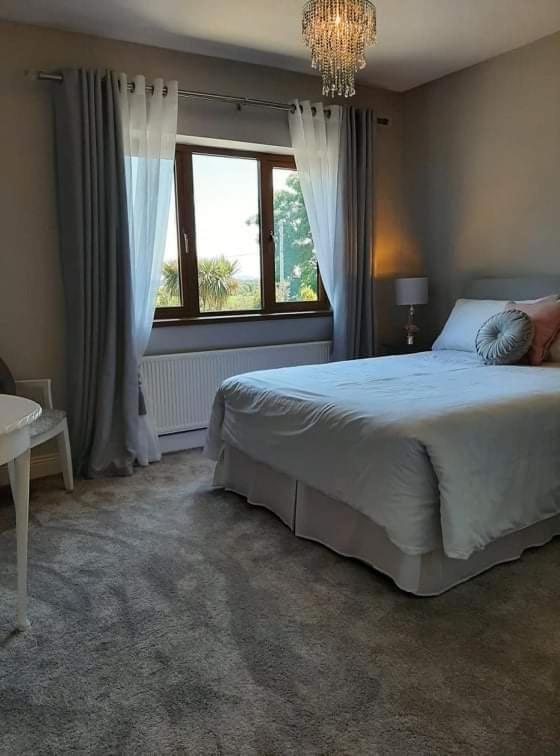 Double Room,1126615353:JPEG