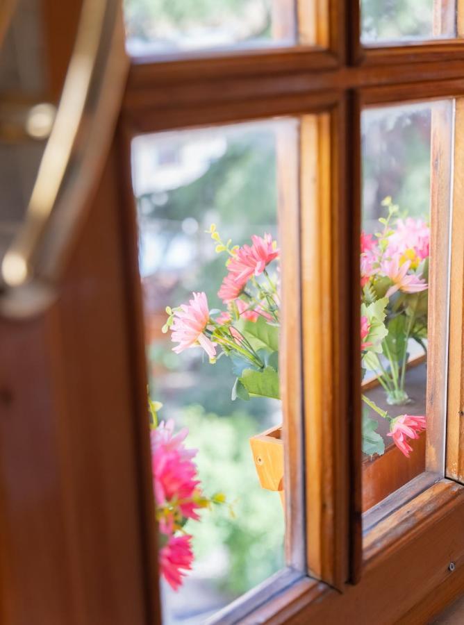Studio Garden View