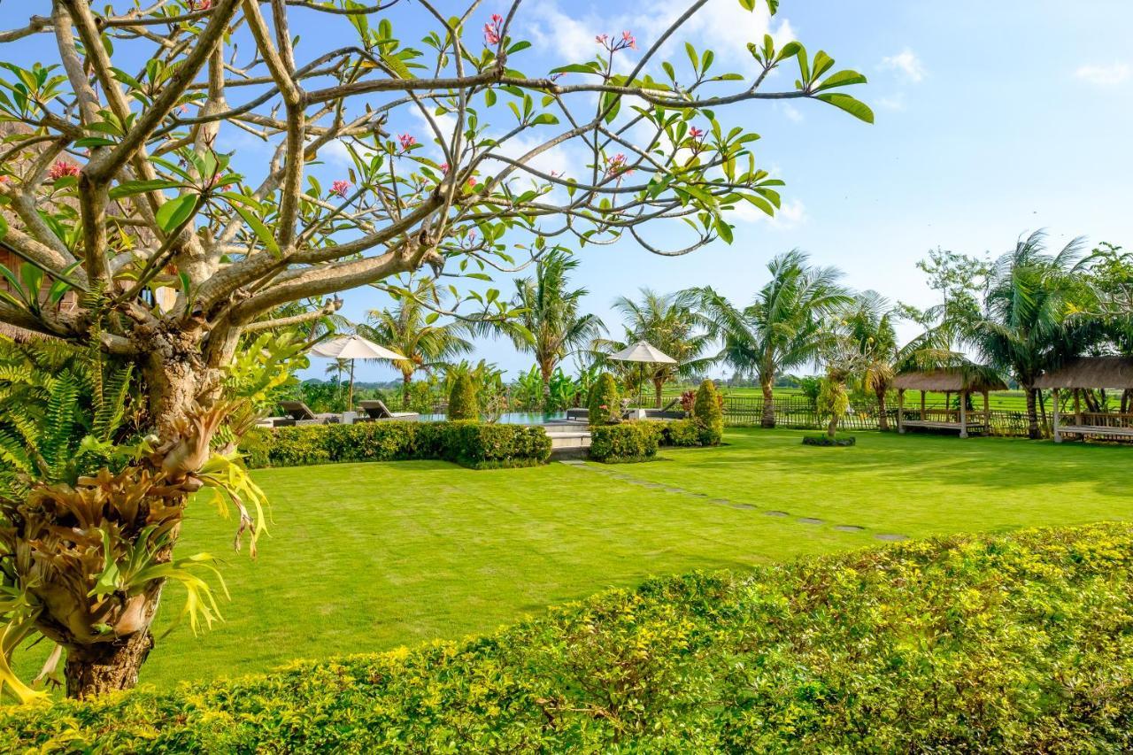Bungalow Garden View,1195856713:JPEG