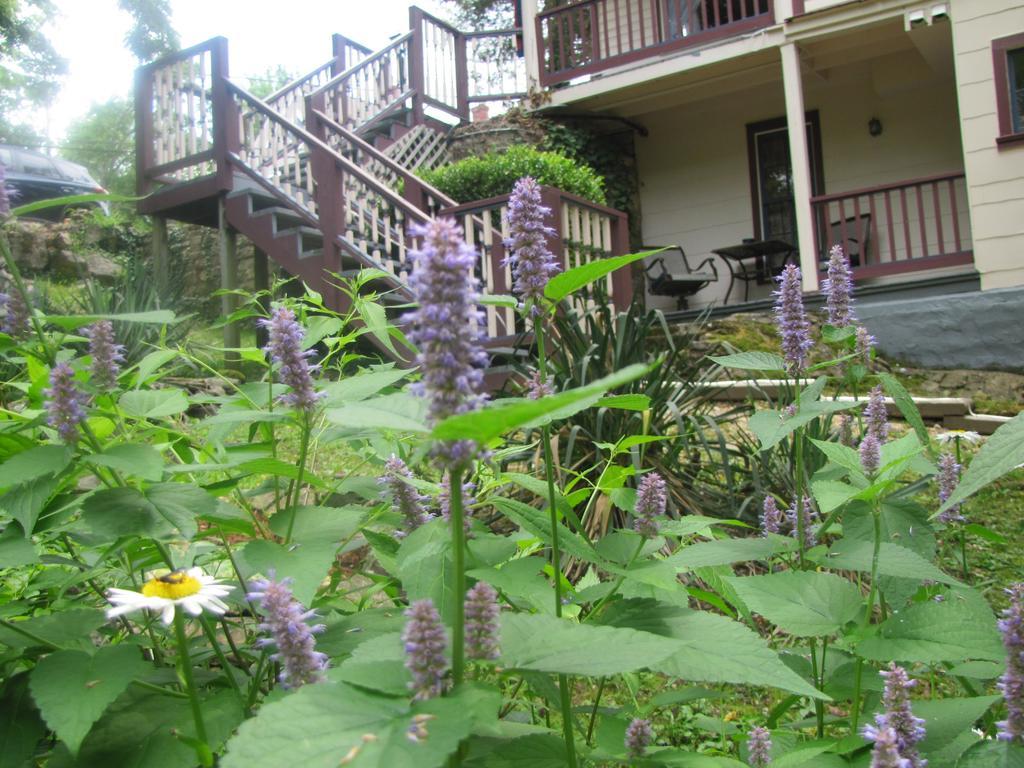 Deluxe Suite,1261974370:JPEG