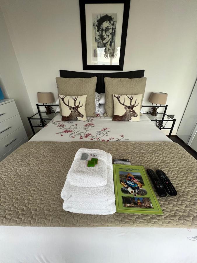 King Room Mountain View,1368786140:JPEG