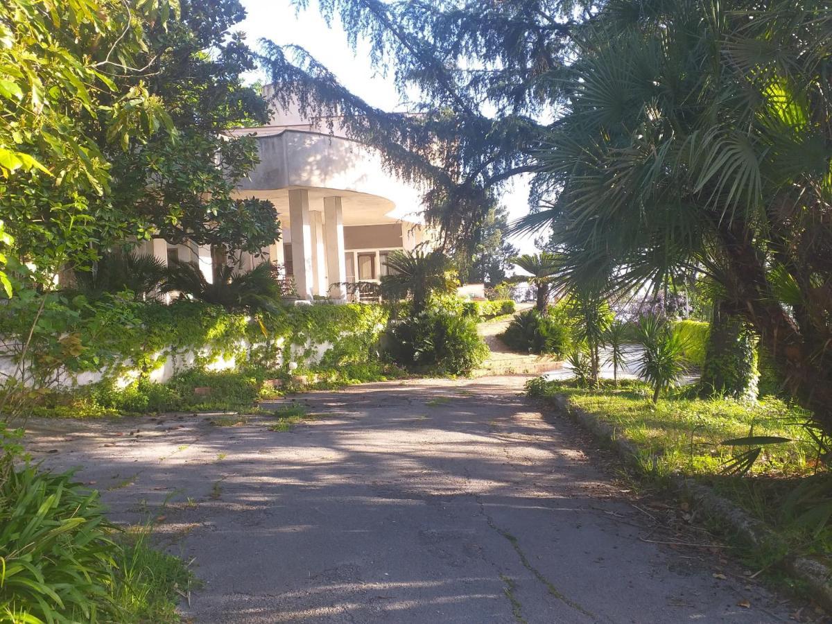 Casa