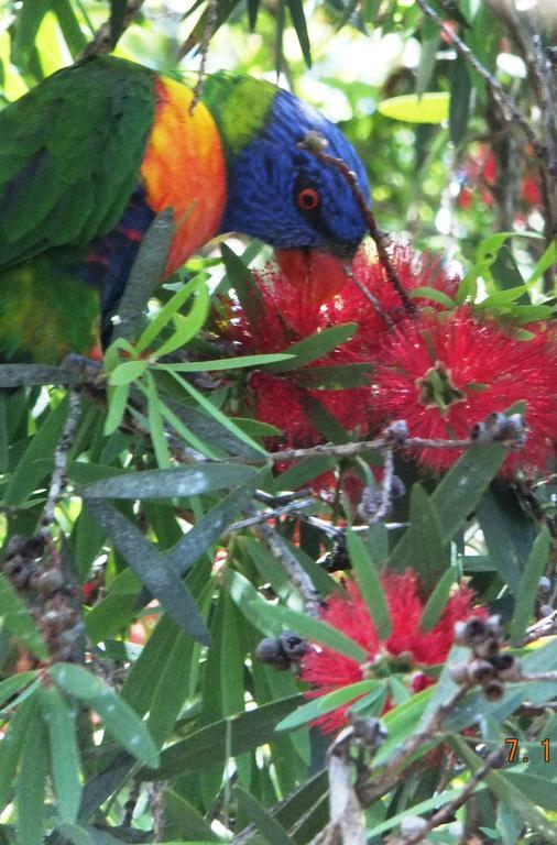 Queen Room - St Ives,153026929:JPEG