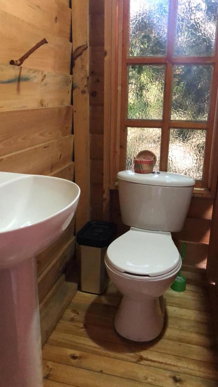 Habitación Doble Estándar - 1 o 2 camas