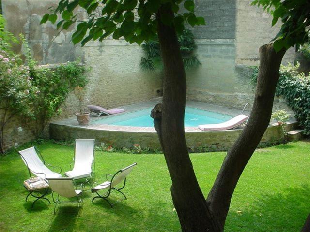Apartment Garden View