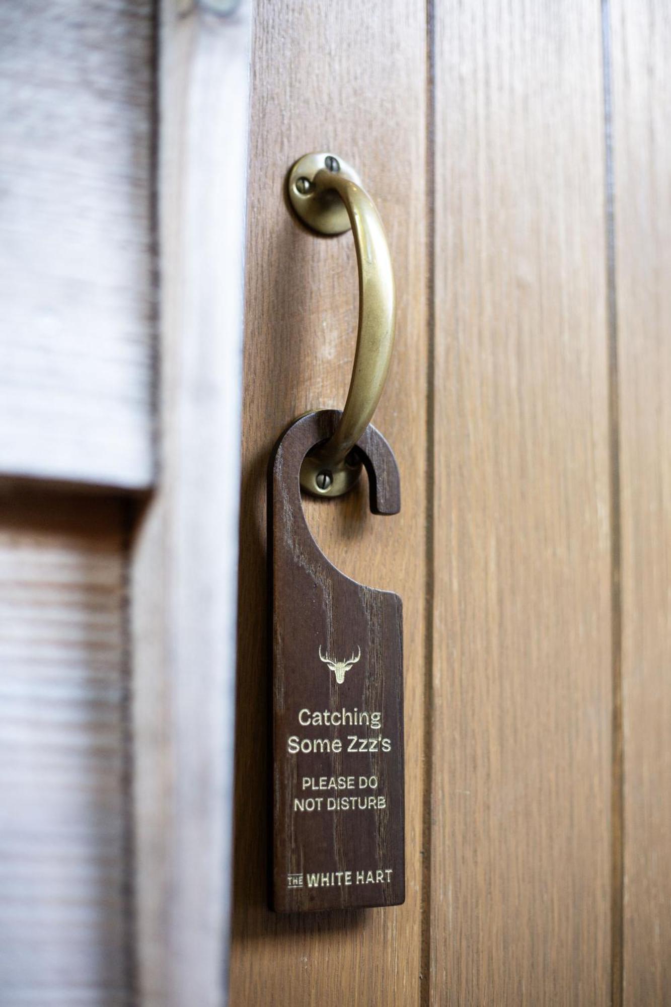 Superior Twin Room,1651200555:JPEG