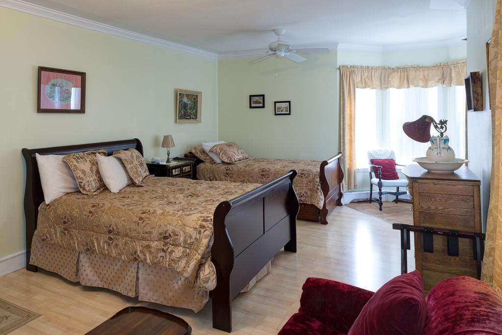 Superior Queen Room,172163835:JPEG