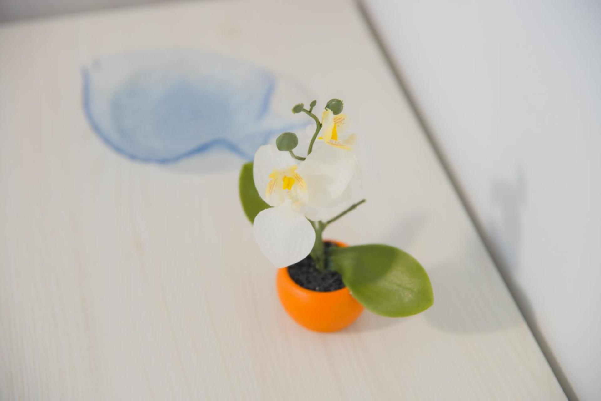 Tweepersoonskamer met Uitzicht op de Tuin