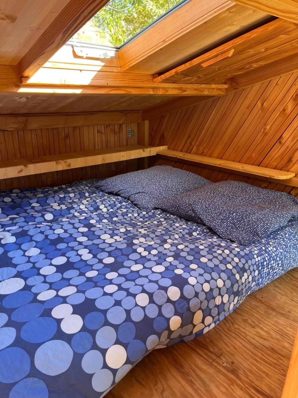 Cabane dans les Arbres
