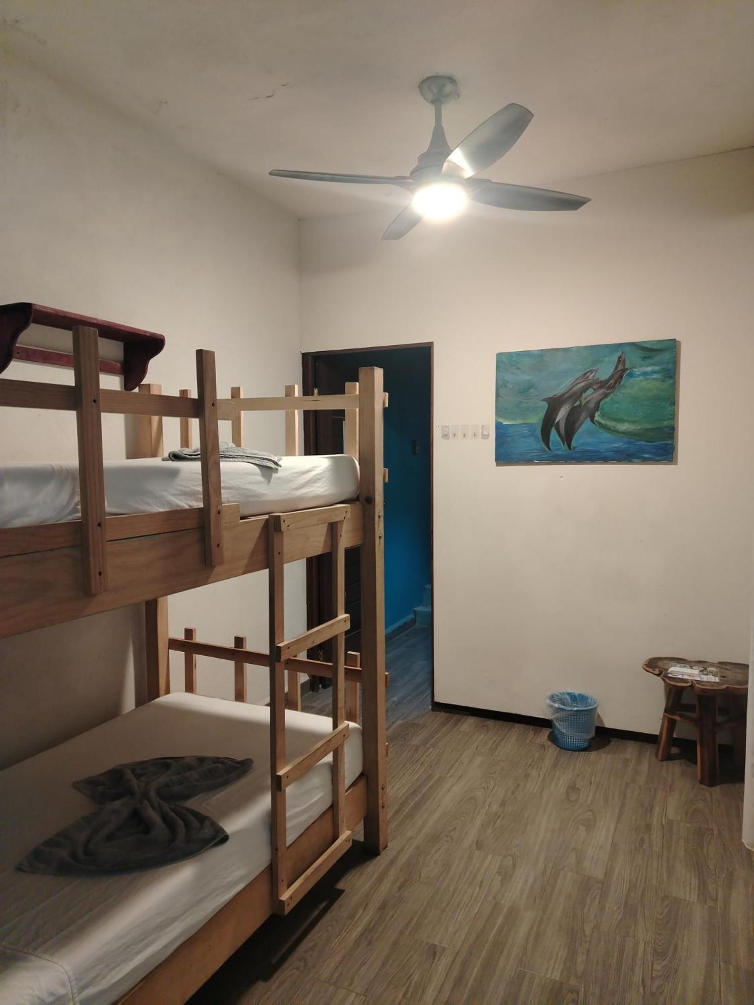 Habitación Doble Económica - 2 camas