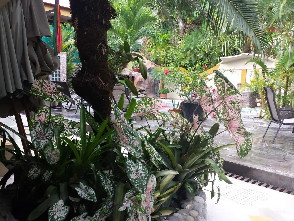 Superior Queen Room,744279994:JPEG