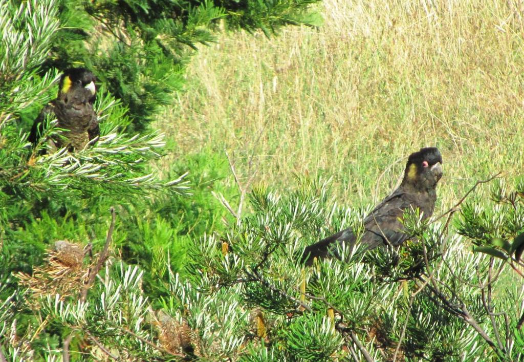 Amble Over Spa Apartment,966808636:JPEG