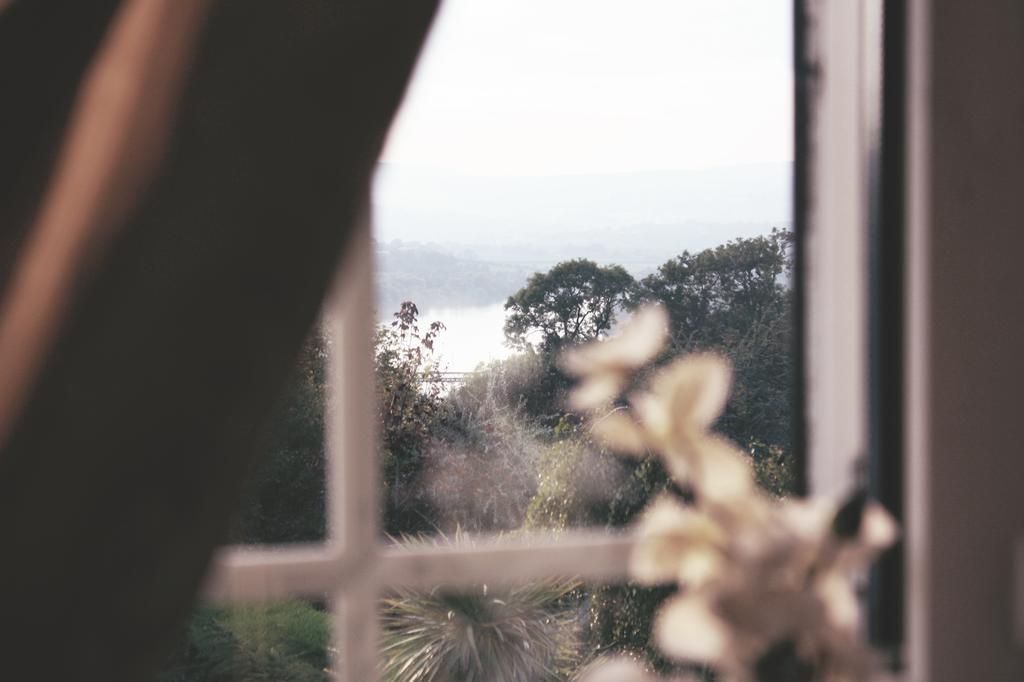 Single Room with Lake View