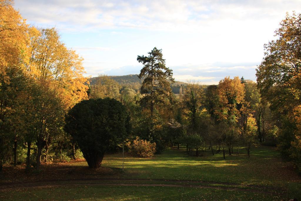 Superior Double or Twin Room with Terrace,1065051289:JPEG