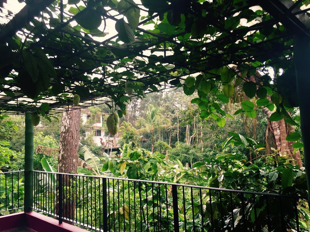 Junior Suite with Garden View