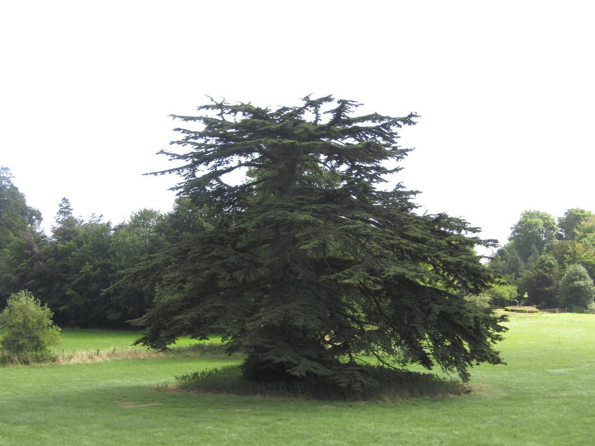 Double Room,560387742:JPEG