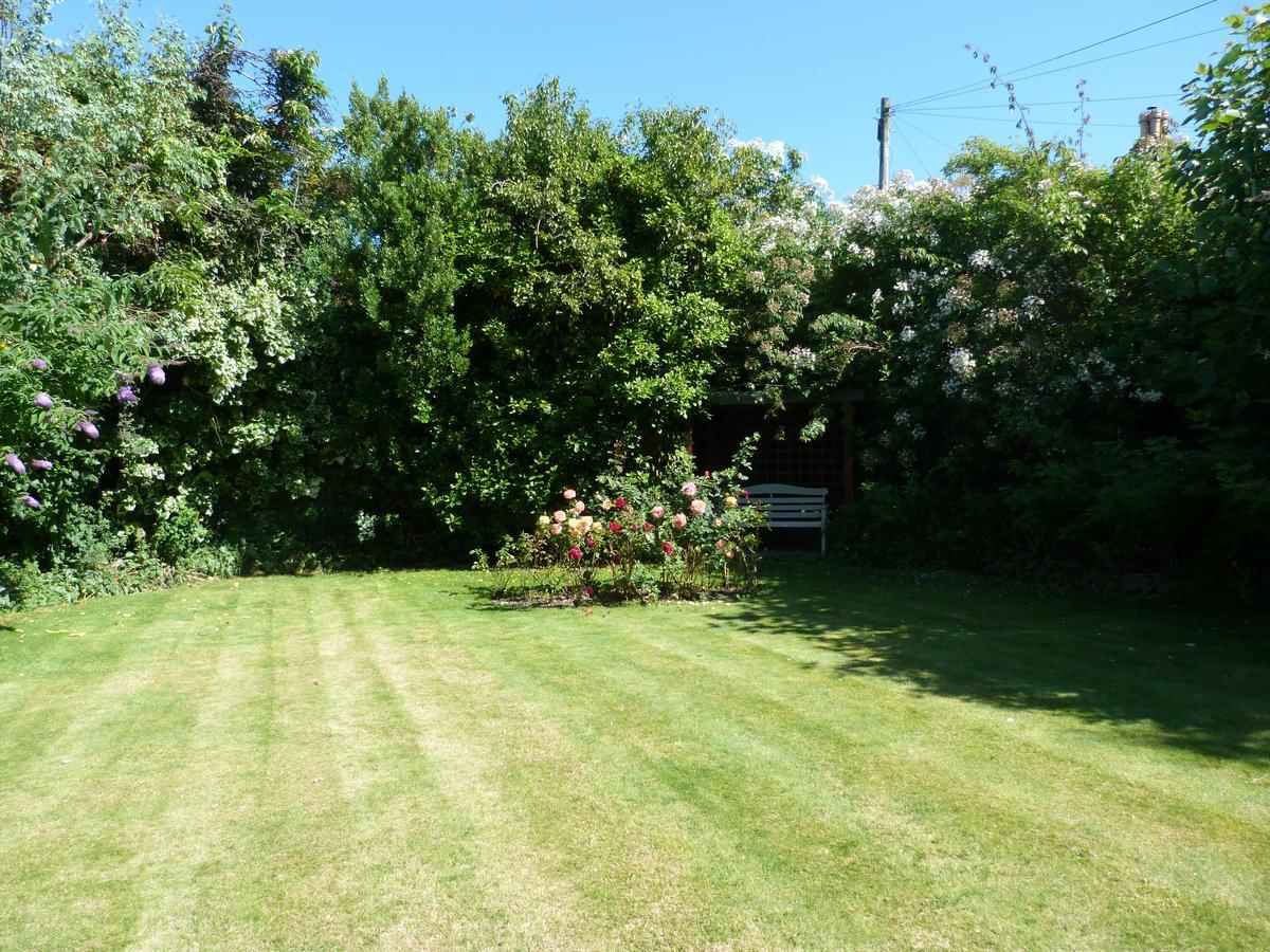 Single Room Garden View,566859882:JPEG