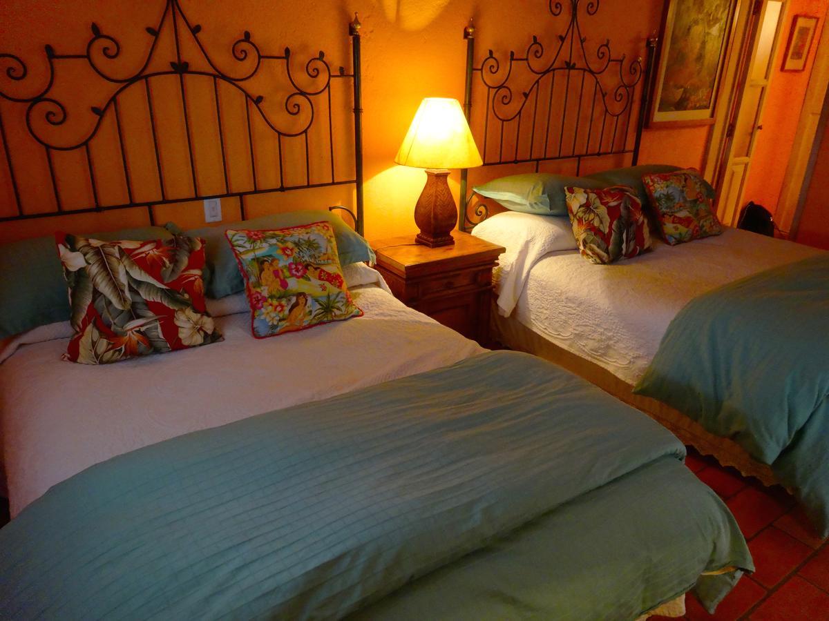 Suite Junior con terraza