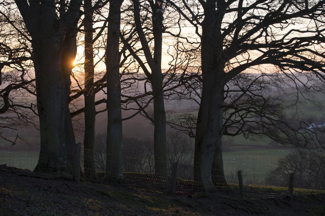 Superior King Room,1584717083:JPEG