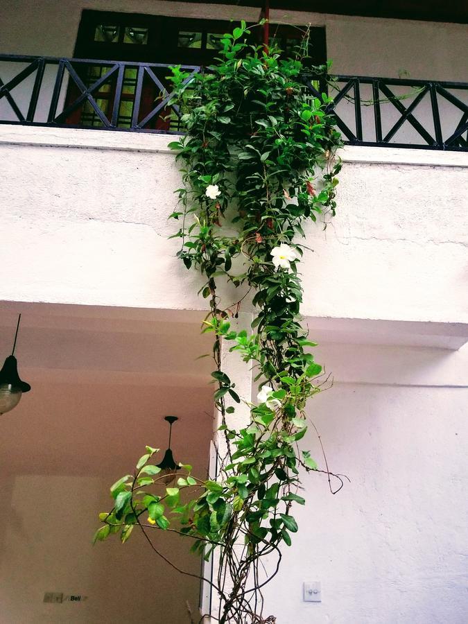 Triple Room Balcony,646253304:JPEG