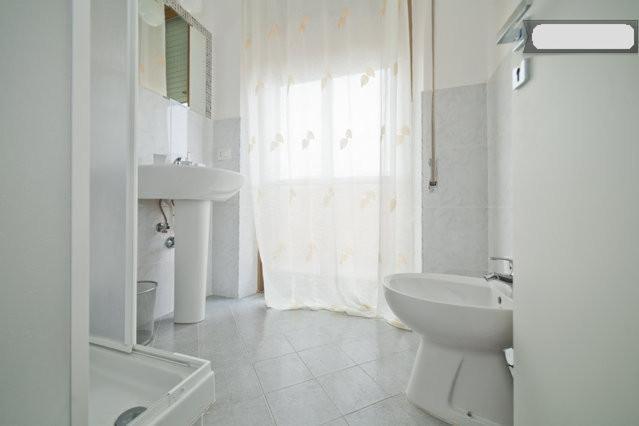 Large Double or Twin Room,251182461:JPEG