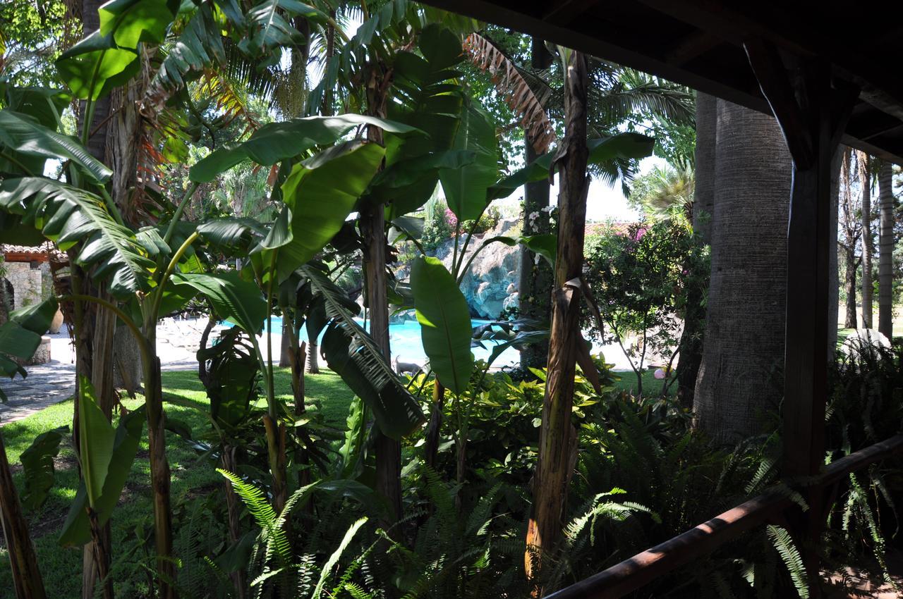Double Room Garden View,806533839:JPEG