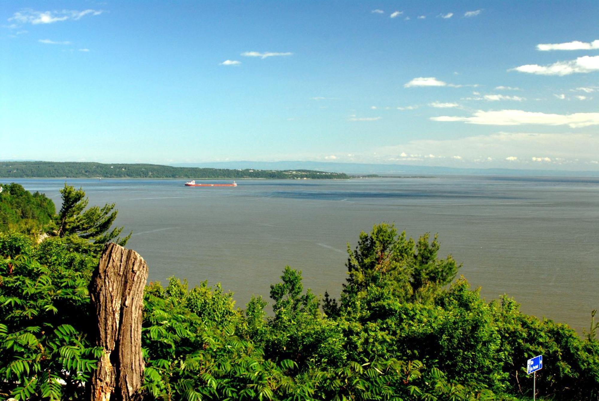 King Room with Balcony and Sea View,702283690:JPEG