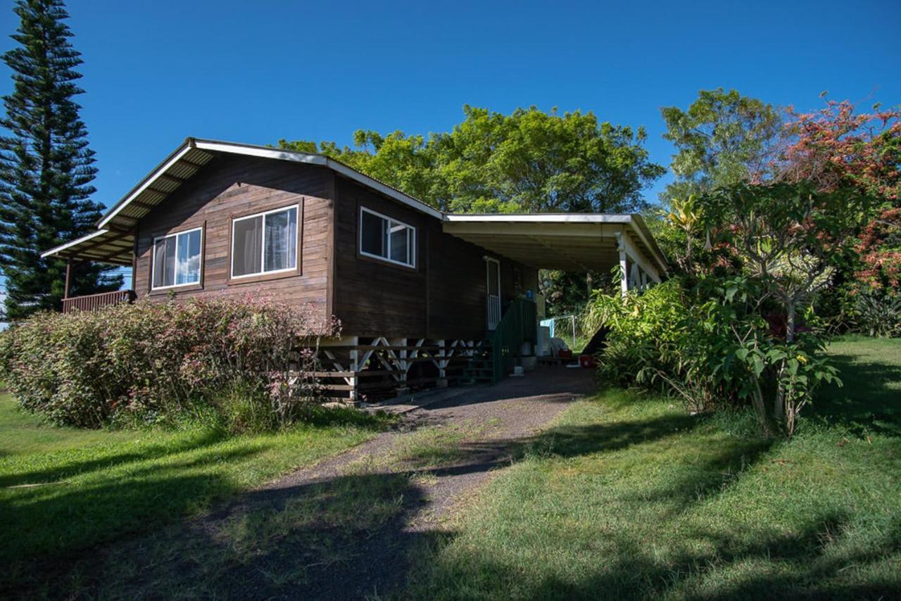 Cottage,727643518:JPEG