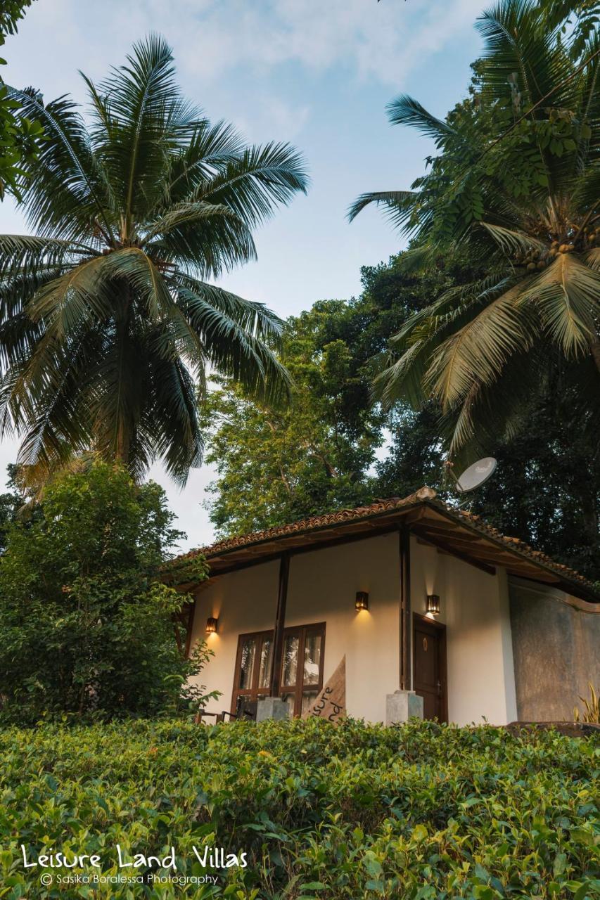 Chalet with Tea Estate View,1706853282:JPEG