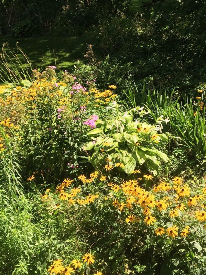 Queen Room Garden View,847440470:JPEG