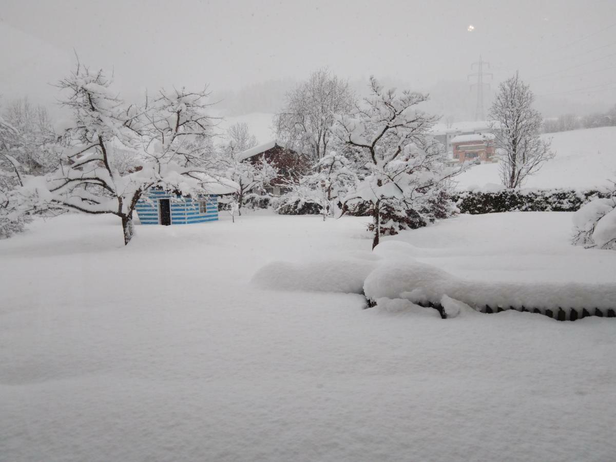 Apartment mit Gartenblick