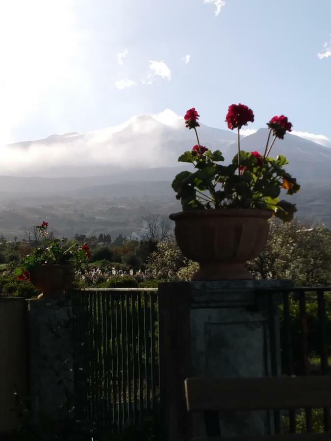 Suite con Vista Mare