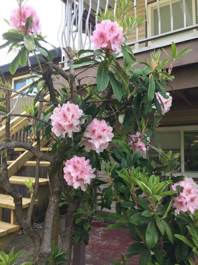 Double Room with Shared Toilet,901025881:JPEG