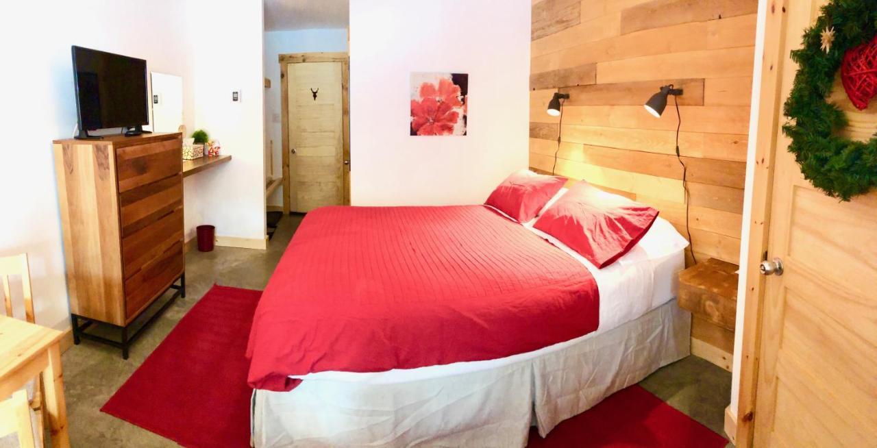 Chambre Standard Lit Queen-Size