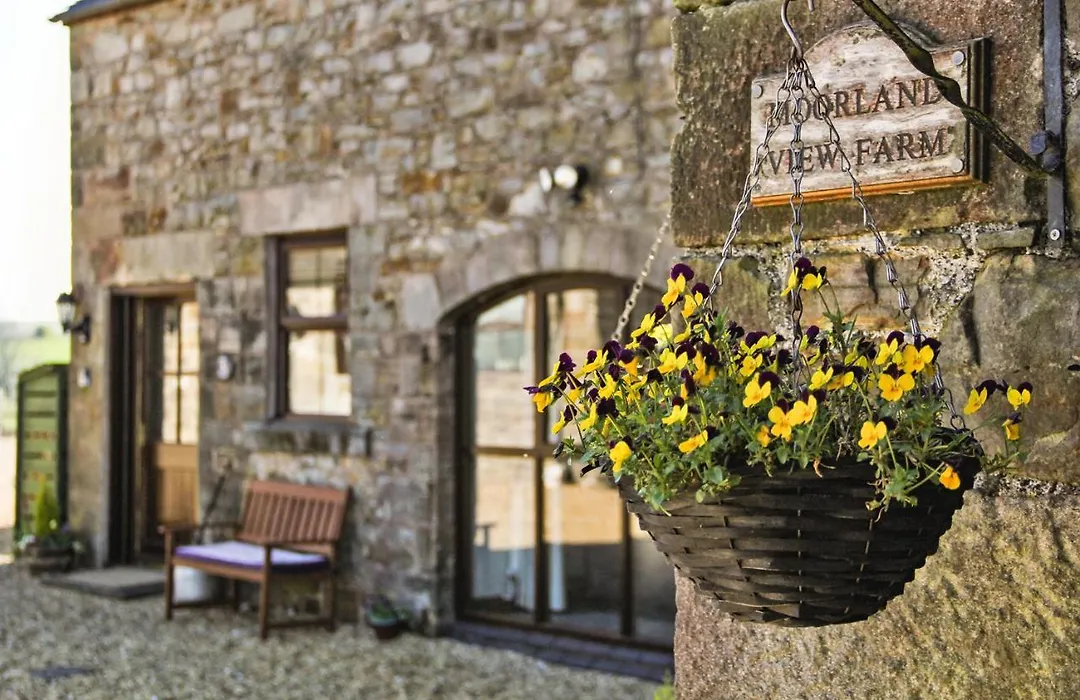 Moorland View Farm B&B-1