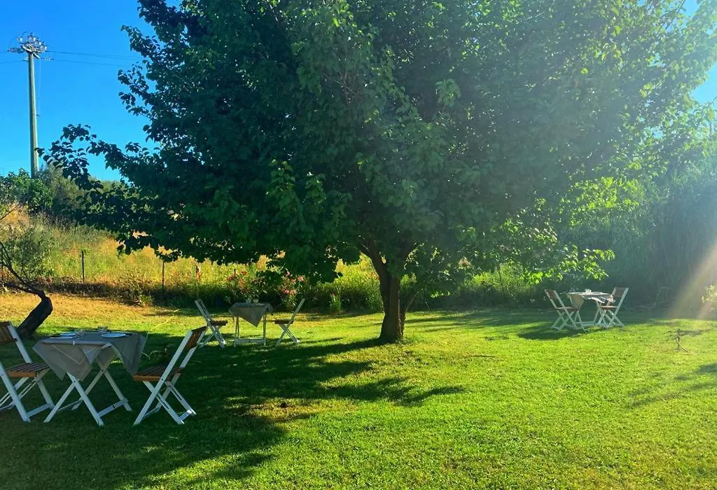 B&B La Petra Longa-1