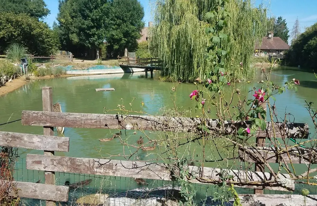 Ferme bressane les Arums-1