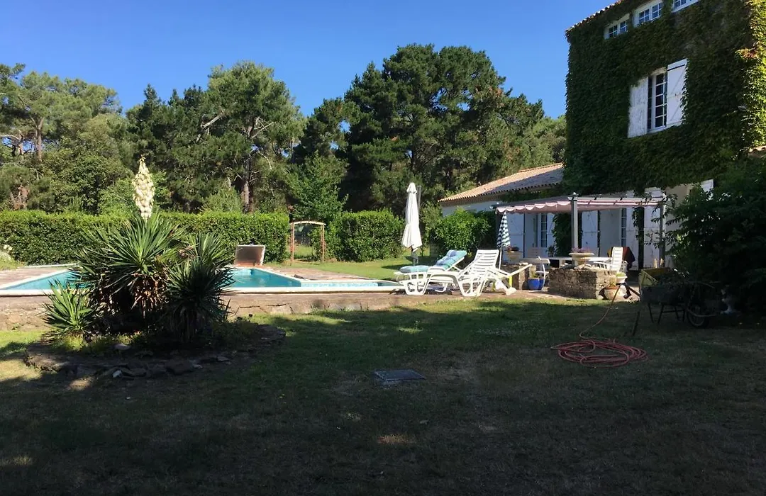 Les galets de Cayola-1