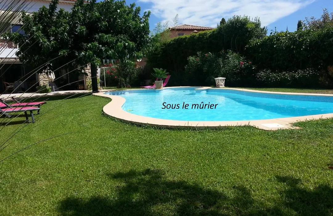 Sous le mûrier-1