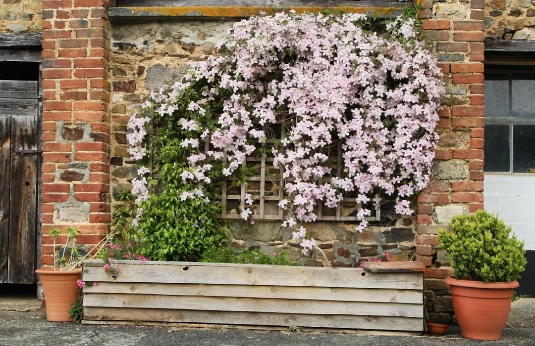 Brook Farmhouse-1