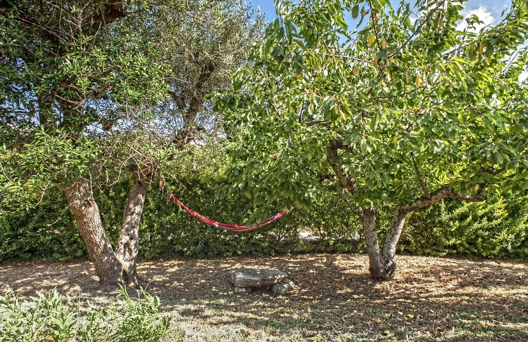 B&B Il Brigante-1