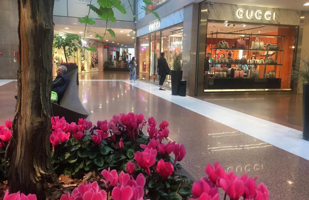 B&B Galleria Cavour-1