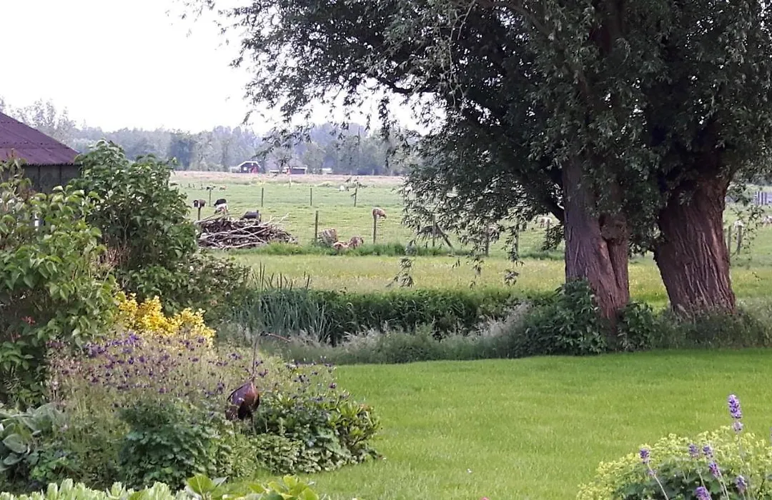 B&B de Oude Hofstee-1